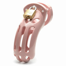 Load image into Gallery viewer, The Curve Pink Kit W/ 3.75 Cage Complete &quot;
