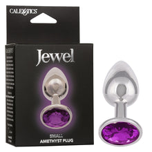 Load image into Gallery viewer, Jewel Small Amethyst Plug
