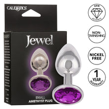 Load image into Gallery viewer, Jewel Small Amethyst Plug
