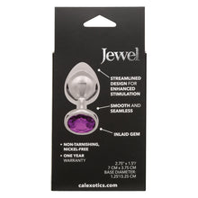 Load image into Gallery viewer, Jewel Large Amethyst Plug
