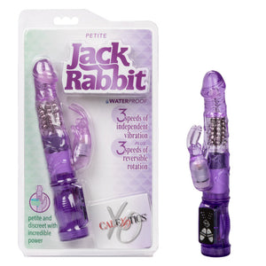 Petite Jack Rabbit Purple