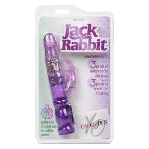 Petite Jack Rabbit Purple