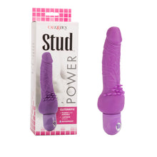 Load image into Gallery viewer, Power Stud Clitterific W/p Purple
