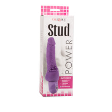 Load image into Gallery viewer, Power Stud Clitterific W/p Purple
