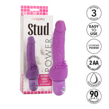 Load image into Gallery viewer, Power Stud Clitterific W/p Purple
