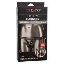 Load image into Gallery viewer, Her Royal Harness The Regal Princess Pewter
