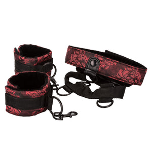 Scandal Collar Body Restraints