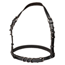 Load image into Gallery viewer, Euphoria Plus Size Halter Buckle Harness
