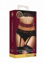 Load image into Gallery viewer, (wd) Ouch Halo Waist Belt L/xl Burgundy
