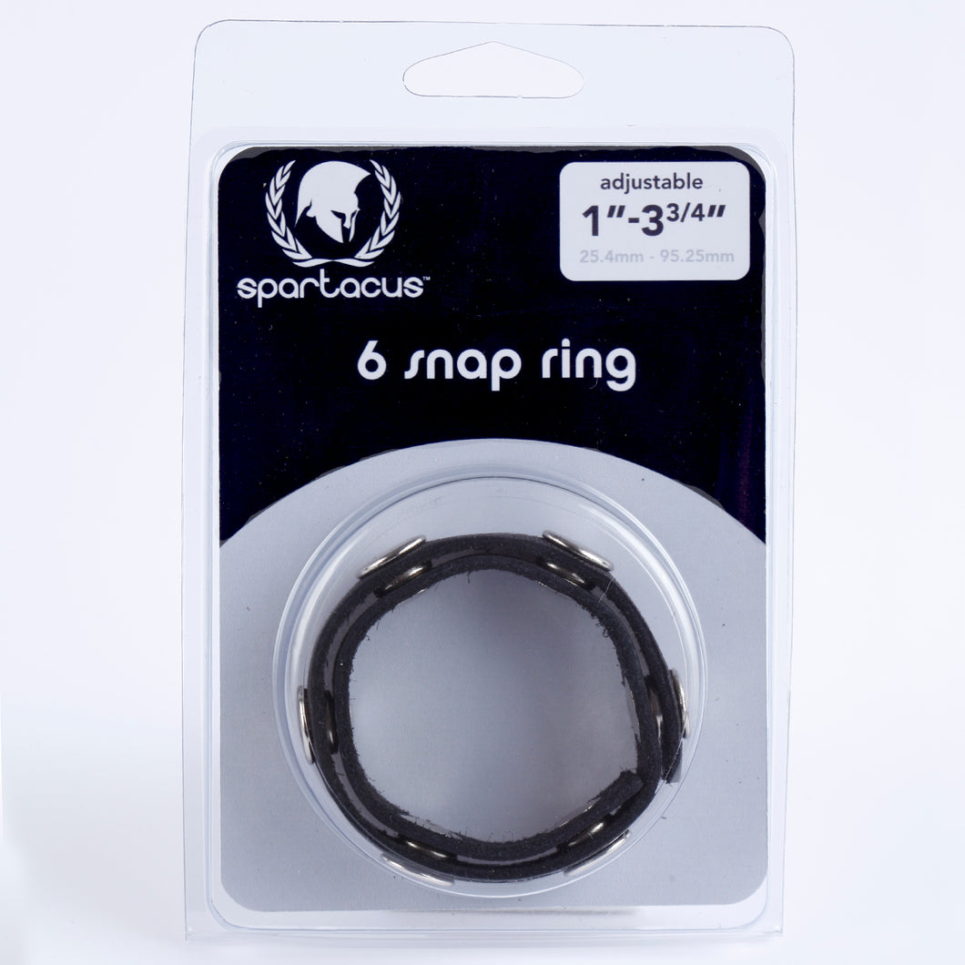 Six Speed C Ring