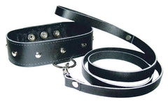 Premium Leather Leash & Collar