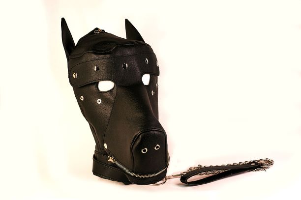 Basic Puppy Play Kit Black Mask Tail Mitts Carry Pack