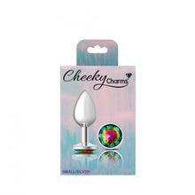 Load image into Gallery viewer, Cheeky Charms Round Rainbow Small Silver Plug
