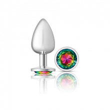 Load image into Gallery viewer, Cheeky Charms Round Rainbow Large Silver Plug
