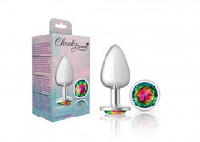 Load image into Gallery viewer, Cheeky Charms Round Rainbow Large Silver Plug
