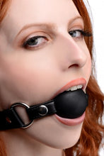 Load image into Gallery viewer, Strict Interchangeable Silicone Ball Gag Set
