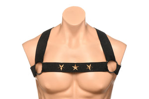Master Series Elastic Chest Harness W/ Arm Bands L/xl